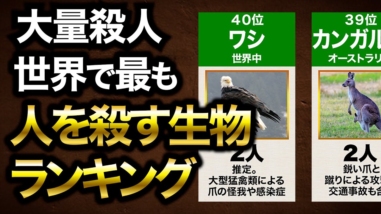 【人類最大の天敵】世界で最も人を殺す動物ランキングTOP40