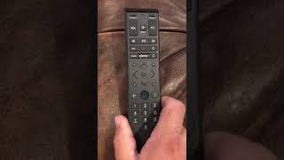 Infinity XR15 remote battery replacement