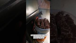 A Day In The Life Of A Male Stripper