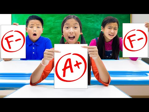 Aventura Escolar con