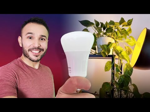 Luces Phillips Hue: Instalación y funcionamiento