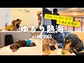 【犬連れ旅行静岡熱海宿】愛犬と泊まれる宿\ゆるり熱海withDOGS/にオープン日に泊まったよ〜🐶🐶😴1泊2日わんこ旅2/3 2024.12