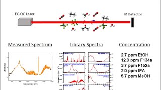 Trace gas sensing of multiple chemical species