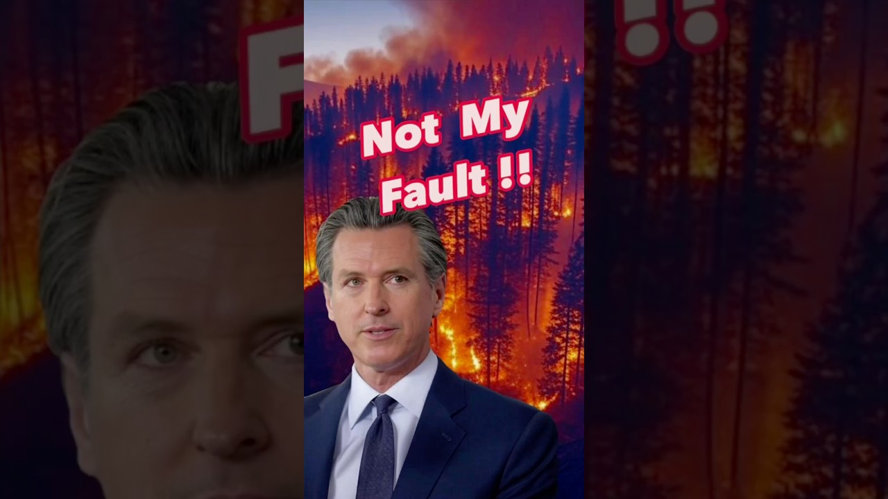 Politicians After A Disaster - Palisades Wild Fires Discussion