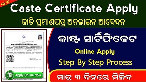 How To Apply SEBC & OBC Caste Certificate In Online 2025 || Caste Certificate Apply Online In Odia