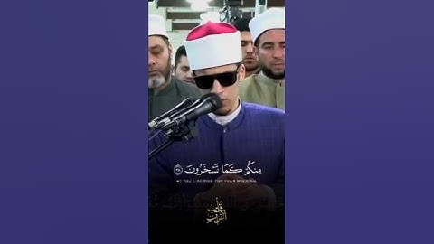 تلاوة عذبة الشيخ محمد أحمد حسن برواية رويس عن يعقوب الحضرمي بالجامع الأزهر 💙🌿