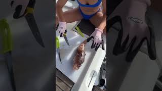 How to filet a Lionfish!