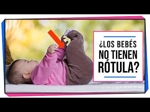 Vídeo: ¿Los Bebés Tienen Rótulas Y Cuándo Se Forman Las Rótulas?