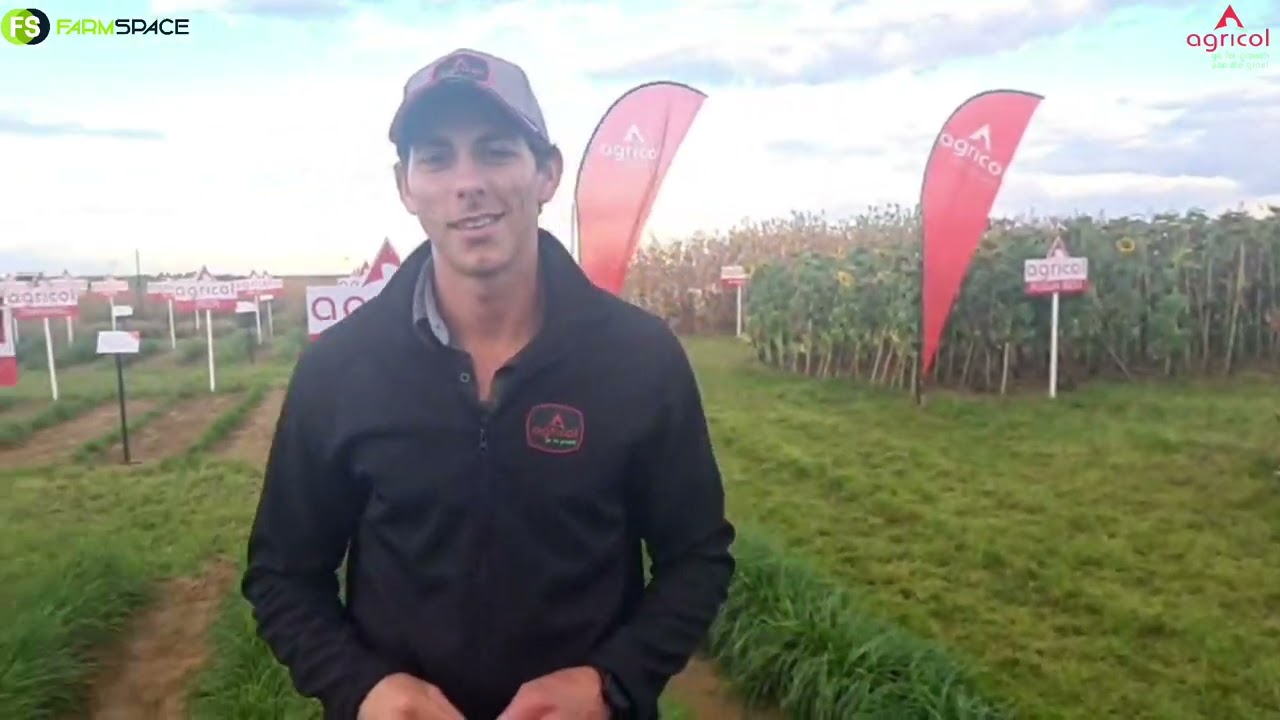 Waar pas gematigde grasse van Agricol in? Herman vertel meer by Nampo 2022.