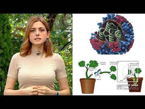 ბიოლოგია - IX - სიცოცხლის ძირითადი ნიშნები; ზრდა-განვითარება #ტელესკოლა