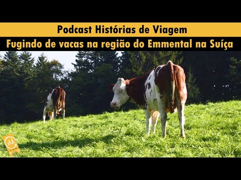 Fugindo de vacas na região do Emmental na Suíça | Podcast Historias de Viagem 004