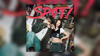 JENNIE, ZICO - SPOT! (Cleanest acapella)