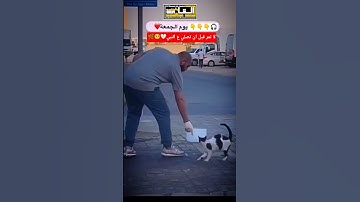 اكتب شئ تؤجر عليـــة🥹🎧#تلاوة_خاشعة #قران_كريم #محمد_عبدالمجيد