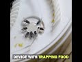 Electric fly trap