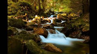 ALAN WATTS 🔥 TERRESTRIAL EXITIUM   ALAN WATTS CHILLSTEP MIX #3   1 HOUR +