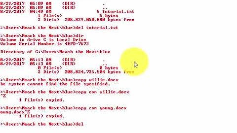9  How to use the wildcard command in cmd