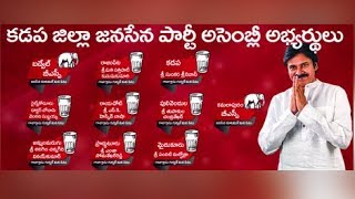 Kadapa Janasena Candidates List for 2019 Elections screenshot 4