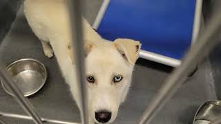acs A671314
