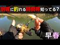 早春のバス釣り…ココさえ抑えればより釣れます！！