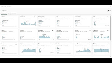 SaaS in 60 - New Data Profile Visual Representation