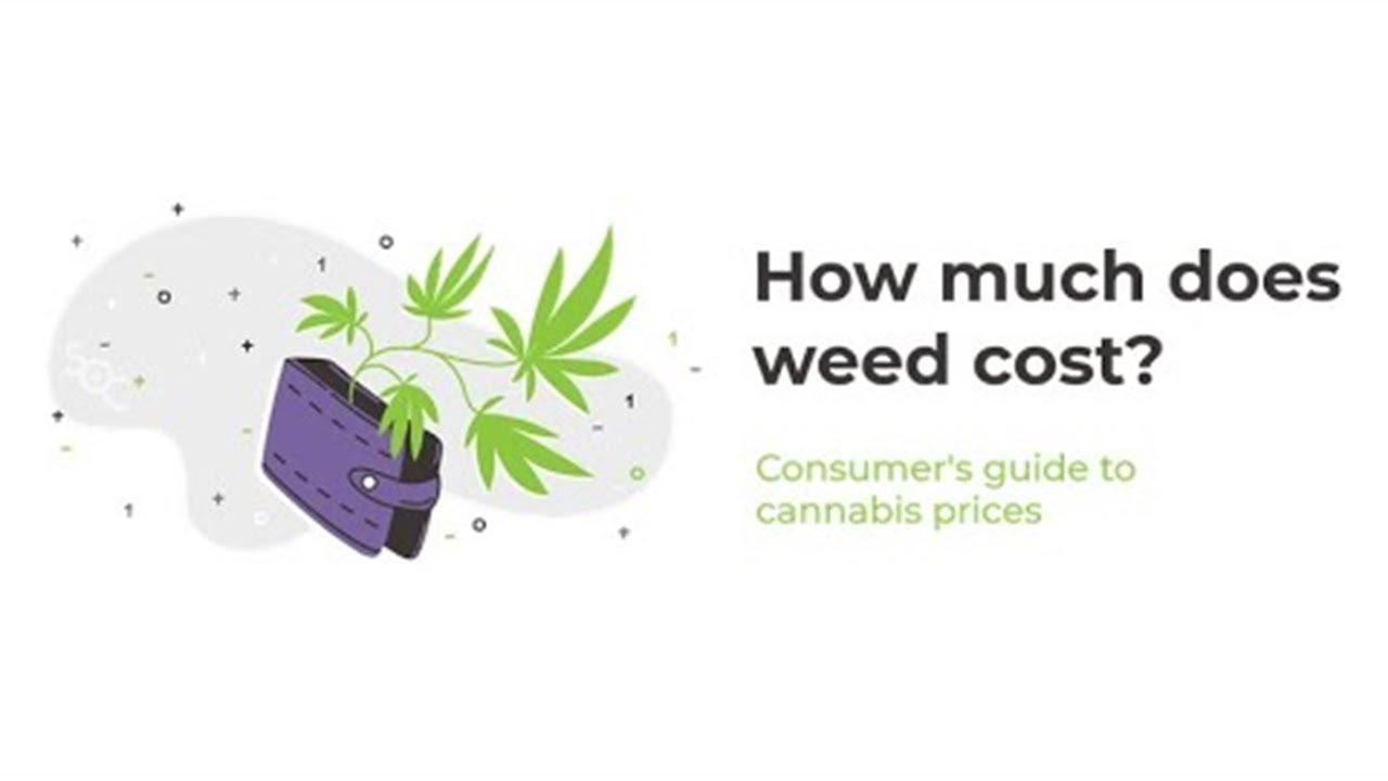 How Much Does Weed Cost? Cannabis Pricing Guide 2020