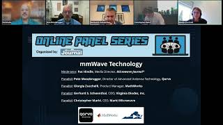 Online Panel: mmWave
