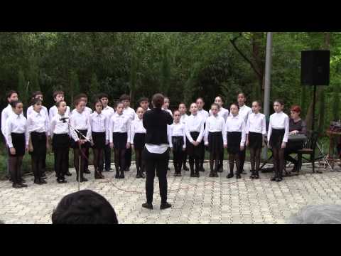 ნათია გოგუაძის გუნდი ( წყალკოტები)