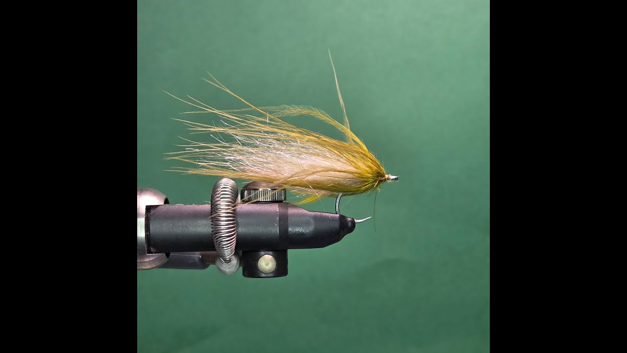 Goby Streamer - One Fly A Day