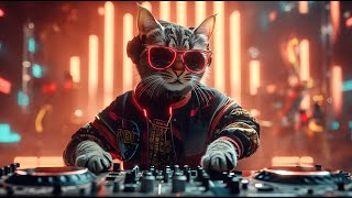  Epic Christmas U0026 New Year Countdown Festival 2026  Dj Miaww 