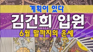 타로🔮김건희 입원, (6월말까지 운세) 꼼수아닌 계획있다?