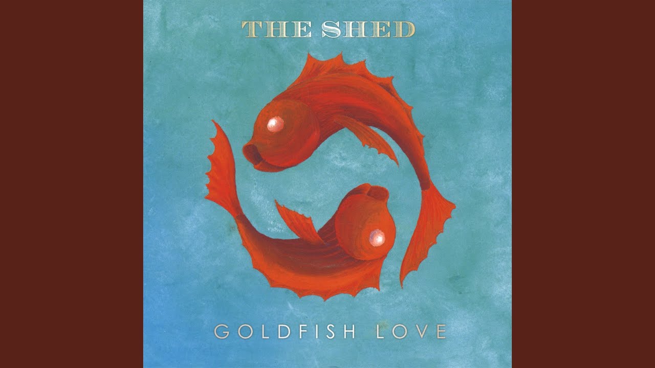 Goldfish Love YouTube