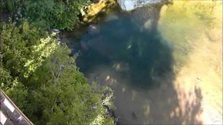 Rainbow Trout (Oncorhynchus mykiss), Sinks Canyon State Park, Wyoming, USA