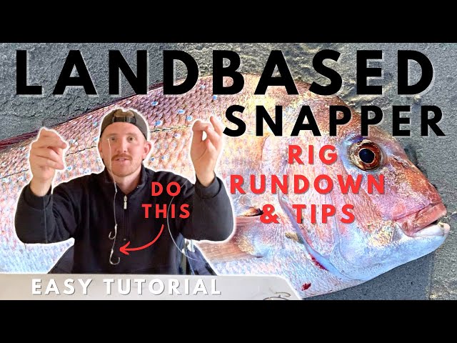 Land Based Snapper Fishing Rig (How to) and Why I Use Sacrificial Leader  !!! 