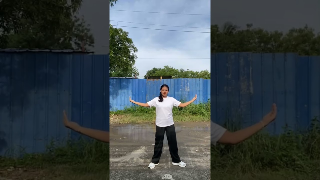 PUNO DIERICA P. (DHT2-A)