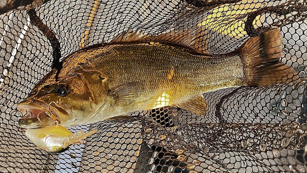 BASSTOBERFEST '21 Episode 1: Back To Old School Baits