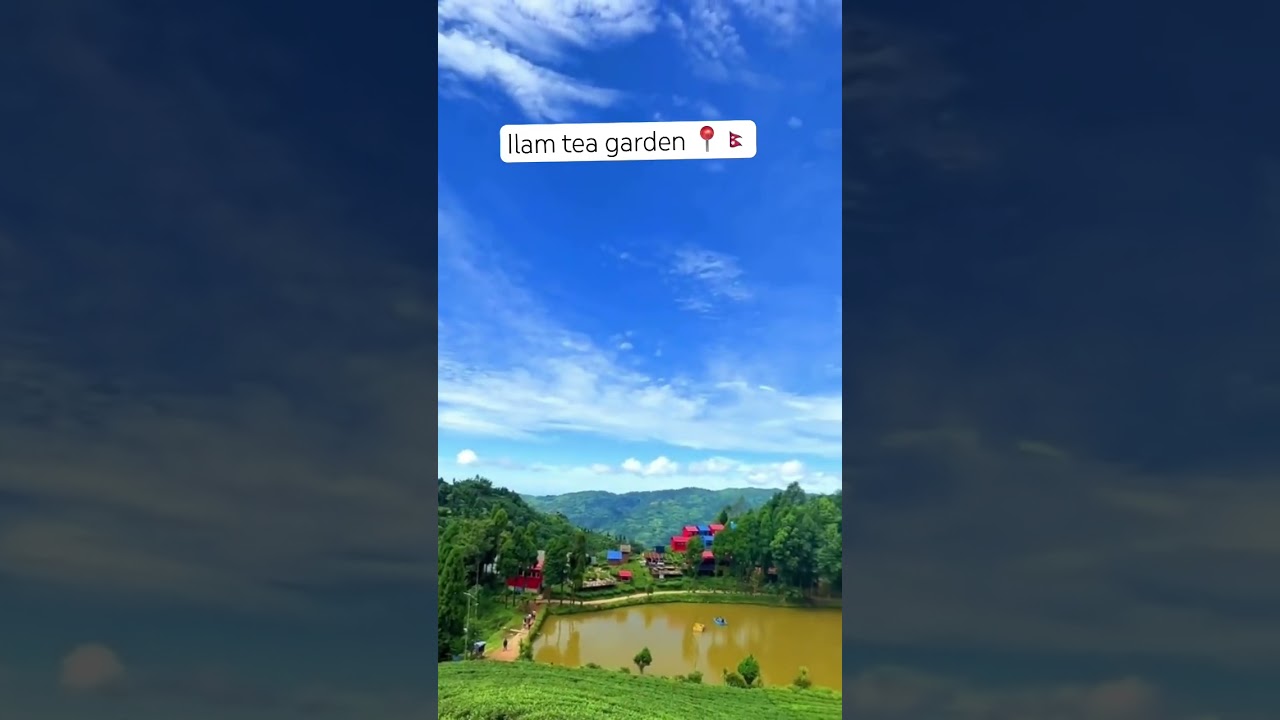 Ilam tea garden & Shree antu lake 