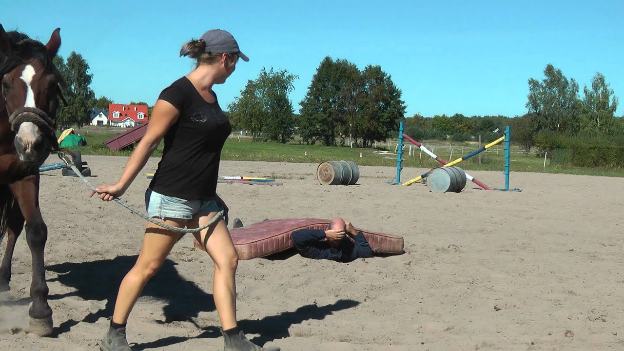 Testing horse and mattress