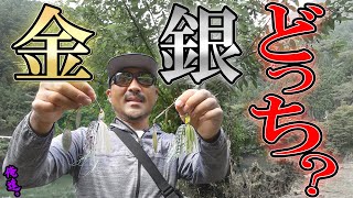 迷った時、どっちを投げる？【ルアー選び】