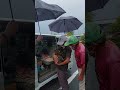 お兄さんに抱っこされるキジ太君❗みんなに傘まで差して貰って良かったニャ~❤️
