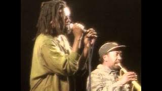 Lucky Dube Truth In The World