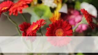 Gift Baskets New York 347 502-2741 Same Day Flower Delivery Nyc