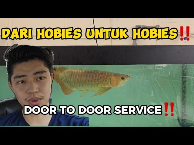 DARI HOBIES UNTUK HOBIES‼️ class=