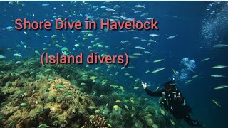 shore Dive in Havelock |scuba Diving In have lock |Island divers reep