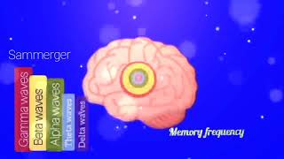 Sammerger - Memory frequency