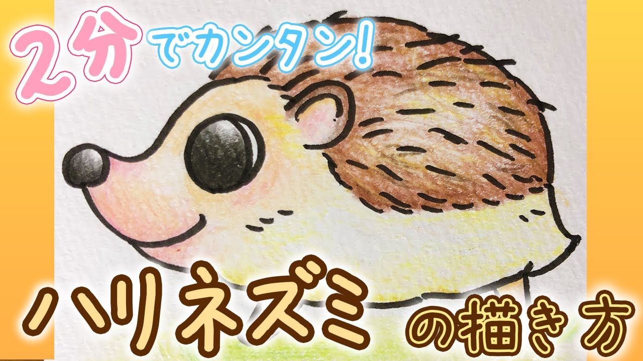 可愛い動物イラスト かんたん ハリネズミの描き方 Youtube