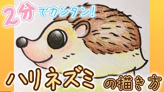 可愛い動物イラスト かんたん ハリネズミの描き方 Youtube