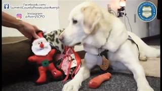 Avery Gets a Gift | Merry Christmas Avery!