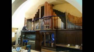 die Oboe 8' in der Walcker-Orgel in Cairo