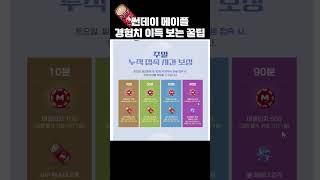 경험치 효율 올리는 꿀팁 [메이플]