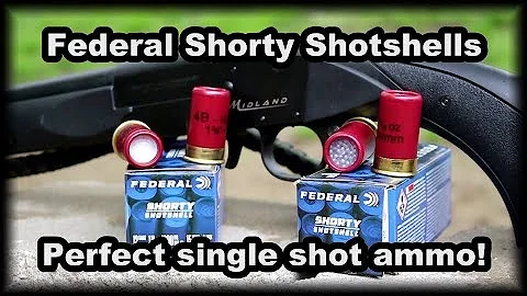 Federal Shorty Shells Perfect single shot ammo